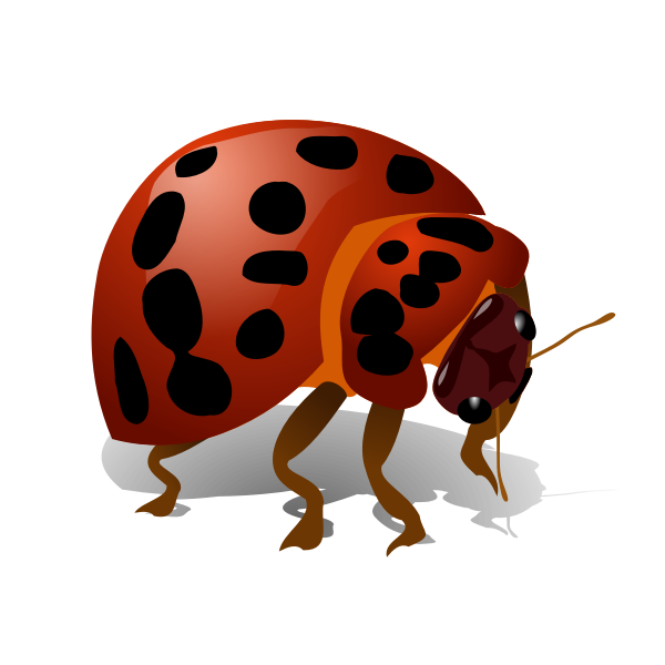 SVG Bug vector