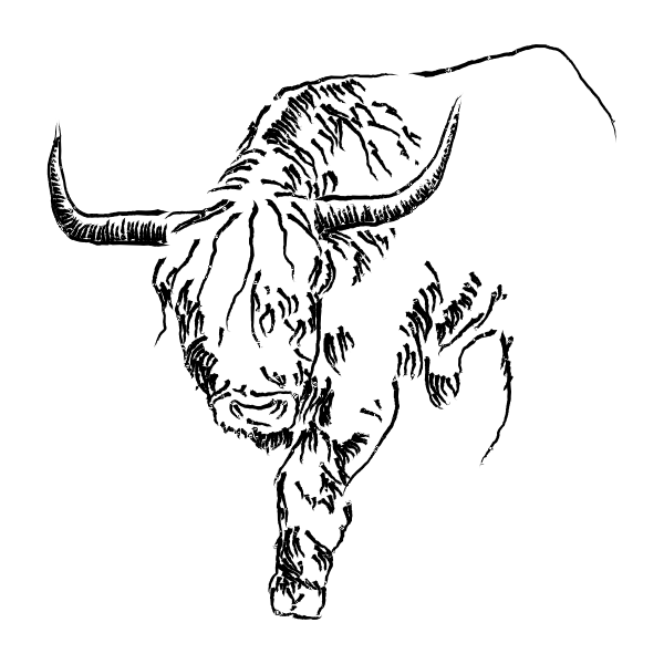 SVG Bull sketch vector image