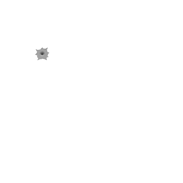 SVG bullet hole linda kim t