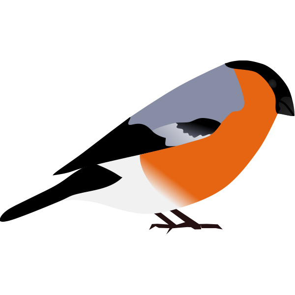 SVG bullfinch