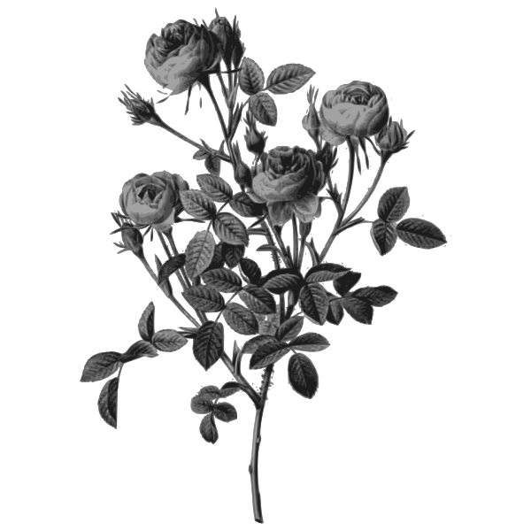 SVG Bunch of flowers