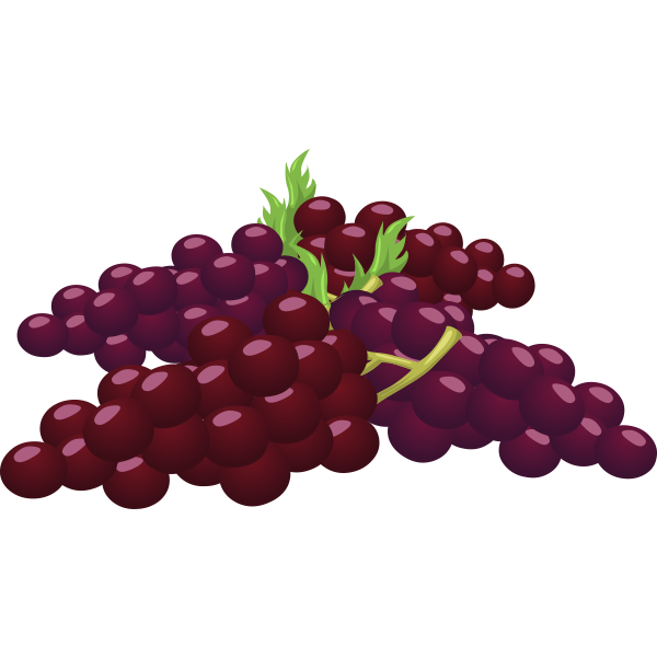 SVG Bunch of grapes