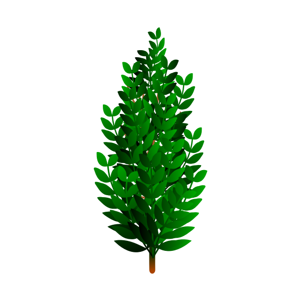 SVG Bush image