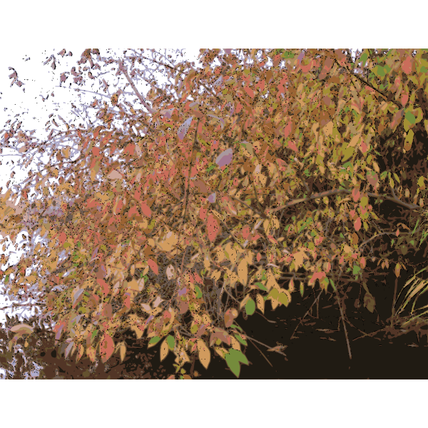 SVG Bush in autumn vector illustration