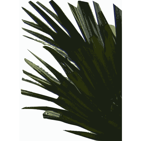 SVG Bush Silhouette