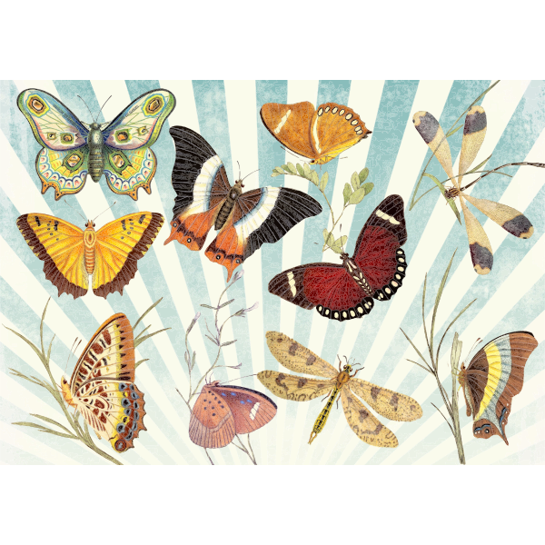 SVG Butterflies and dragonflies