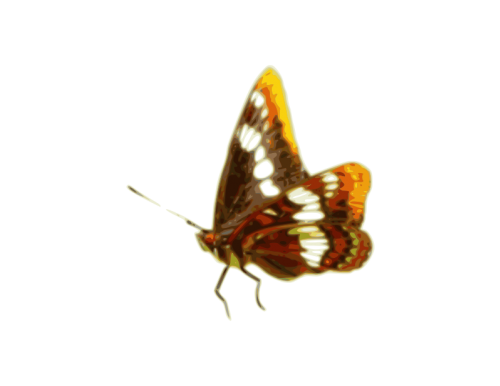 SVG Butterfly 01