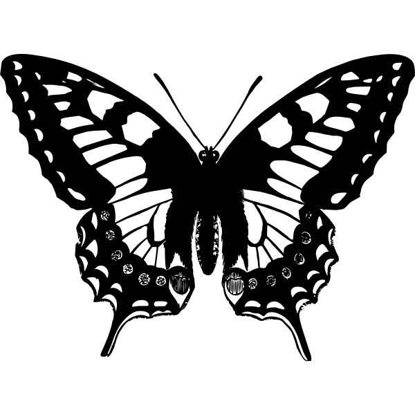 SVG Butterfly 13