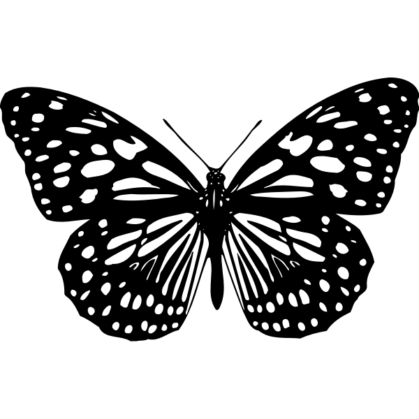SVG Butterfly 17