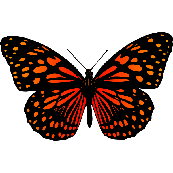 SVG Butterfly 17 Colour
