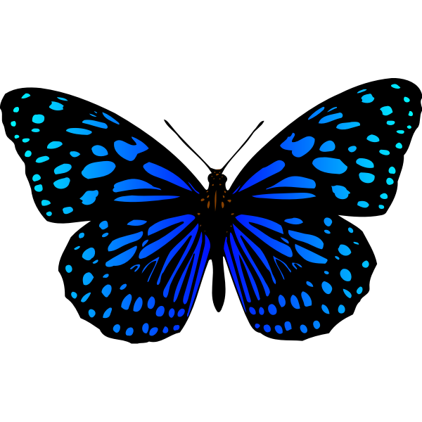SVG Butterfly 17 Colour 3