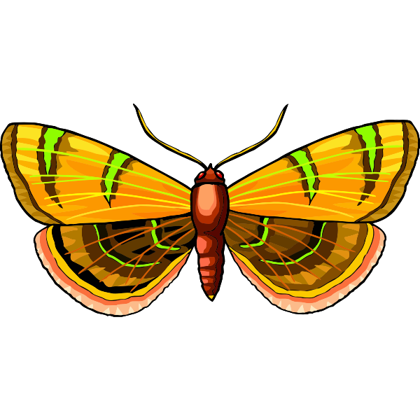 SVG Butterfly 27