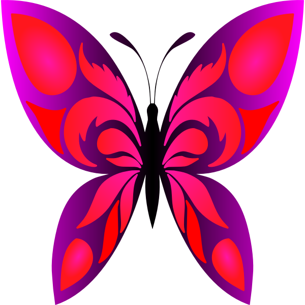 SVG Butterfly 34 Colour 4