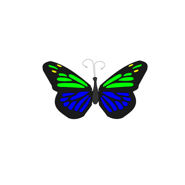 SVG Butterfly animation