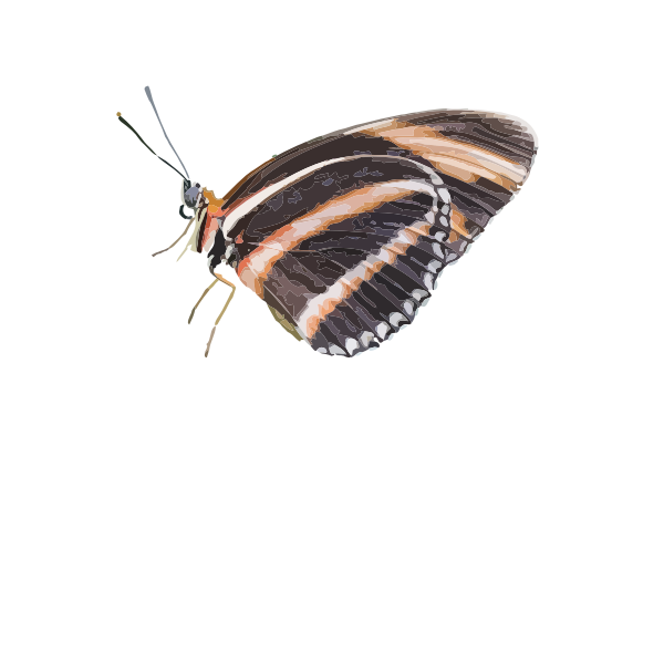 SVG Butterfly drawing image