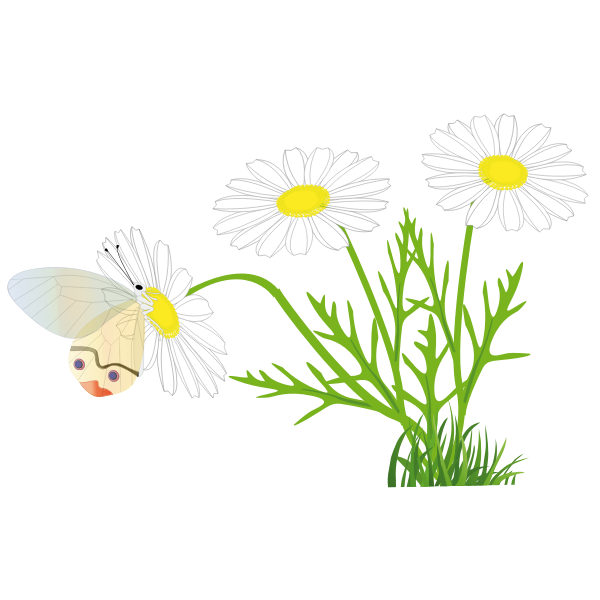 SVG Butterfly on a daisy vector image