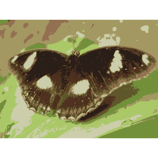 SVG Butterfly On Leaf