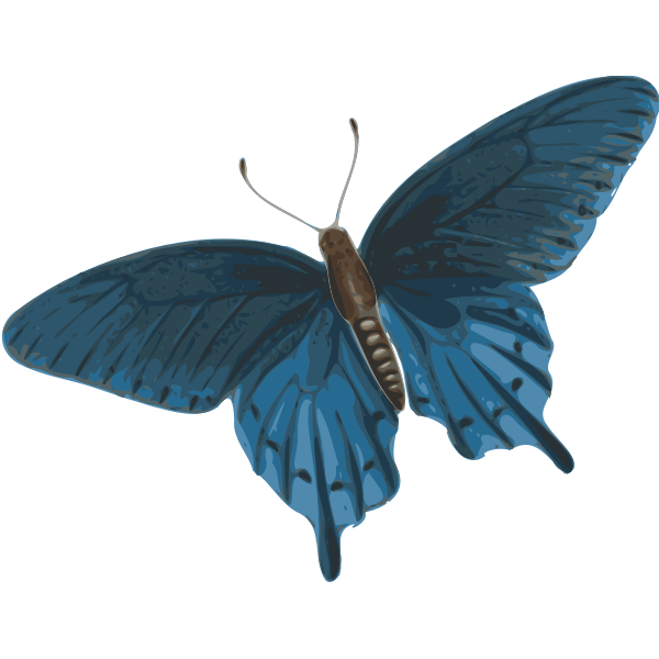 SVG butterfly papilio philenor - top