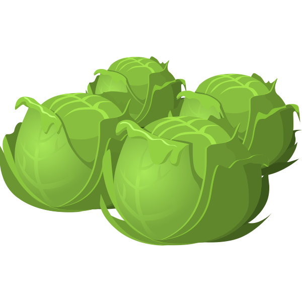 SVG Cabbage