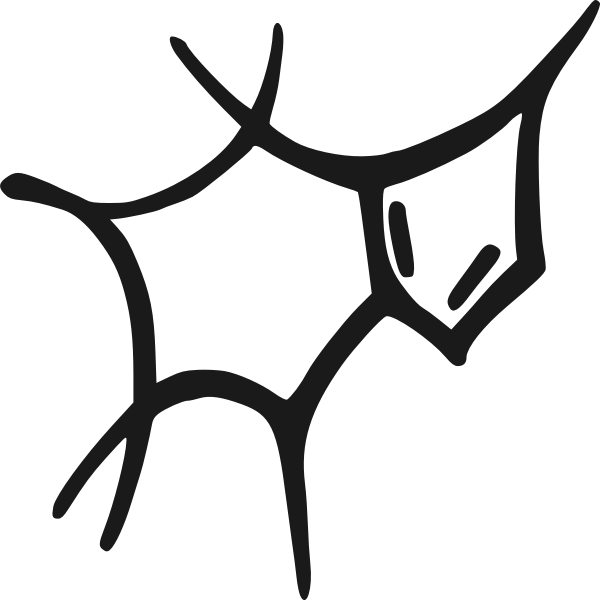 SVG Caffeine molecule sketch