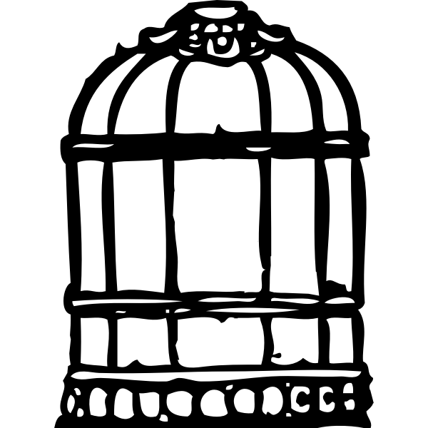 SVG Cage outline