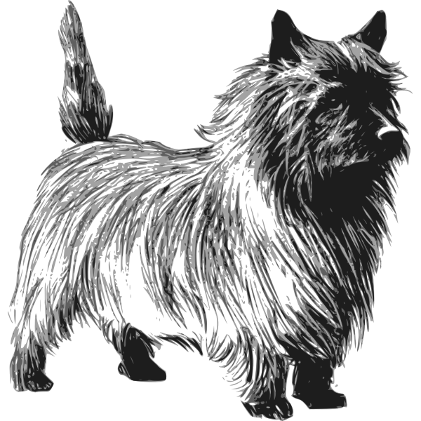 SVG Cairn terrier vector drawing