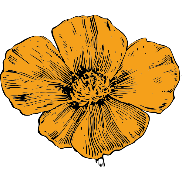 SVG California poppy
