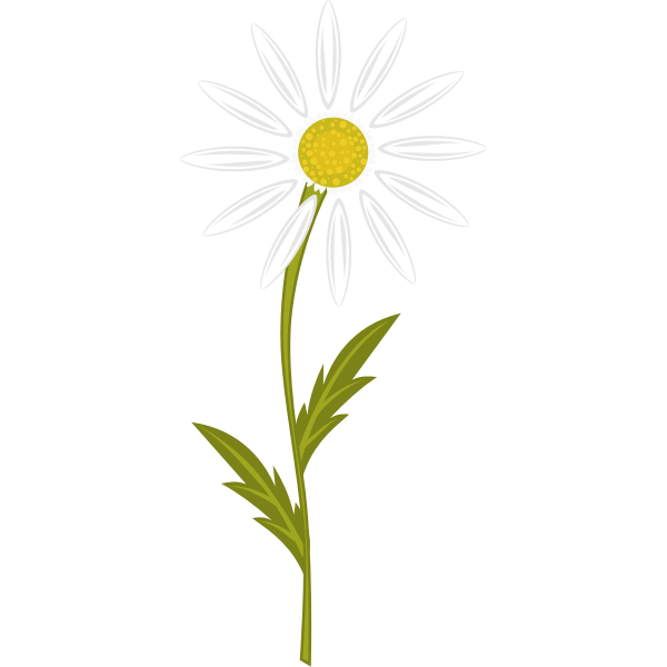 SVG Camomile image