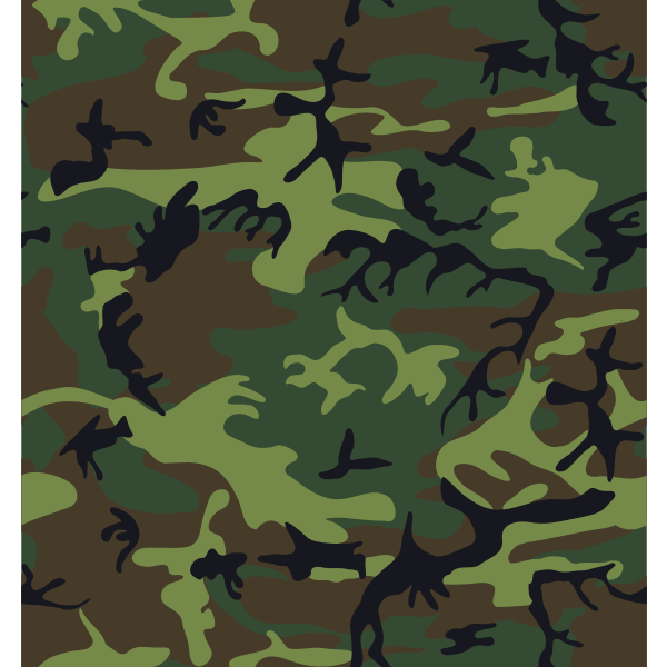 SVG Camouflage army print vector image