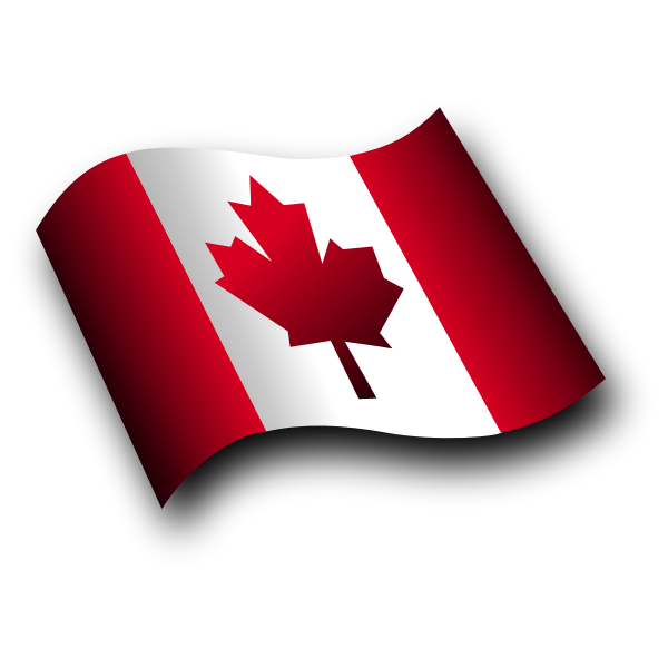 SVG Canadian waving flag vector image