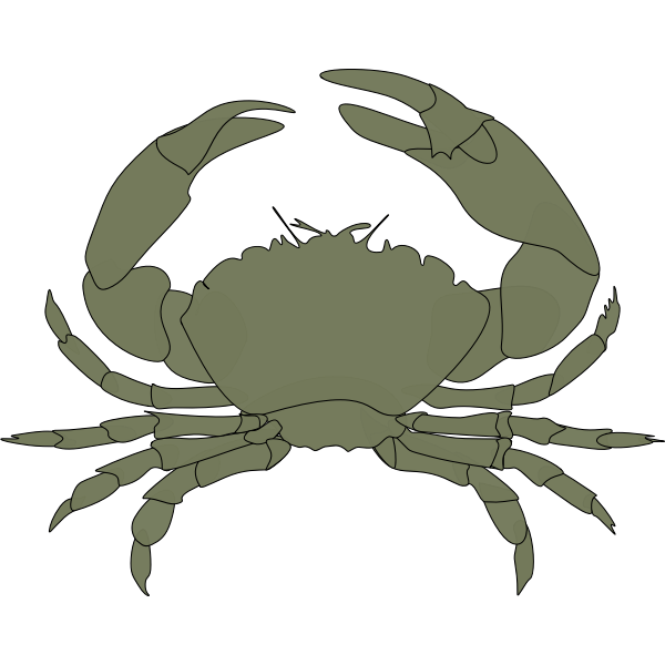 SVG Cangrejo