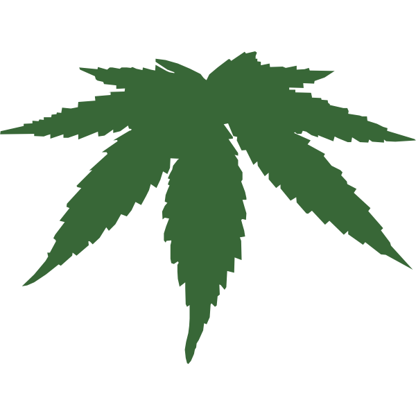 SVG Cannabis leaf color vector image