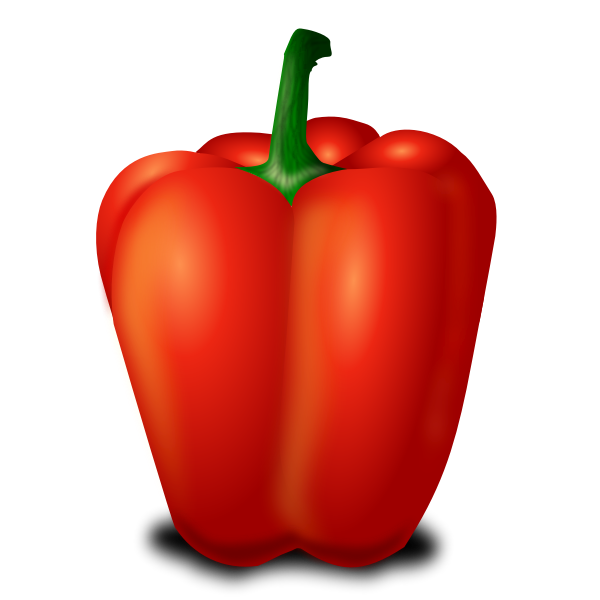SVG Capsicum fruit vector image
