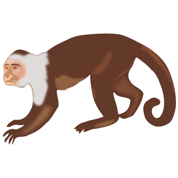 SVG Capuchin