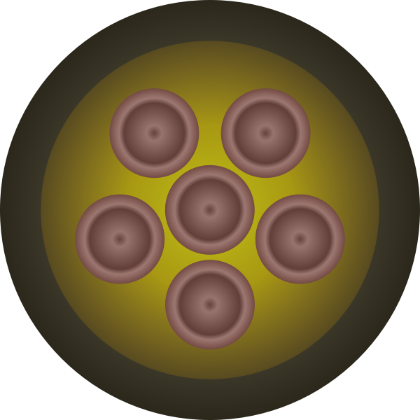 SVG Car wheel vector image