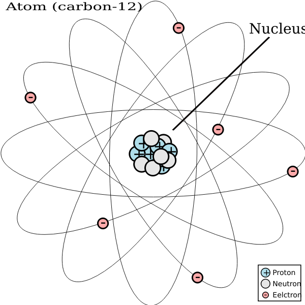 SVG Carbon 12 atom diagram vector image