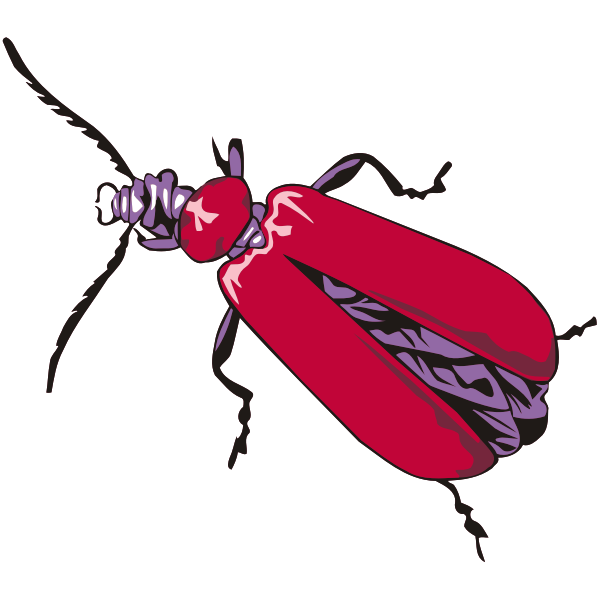 SVG Cardinal beetle