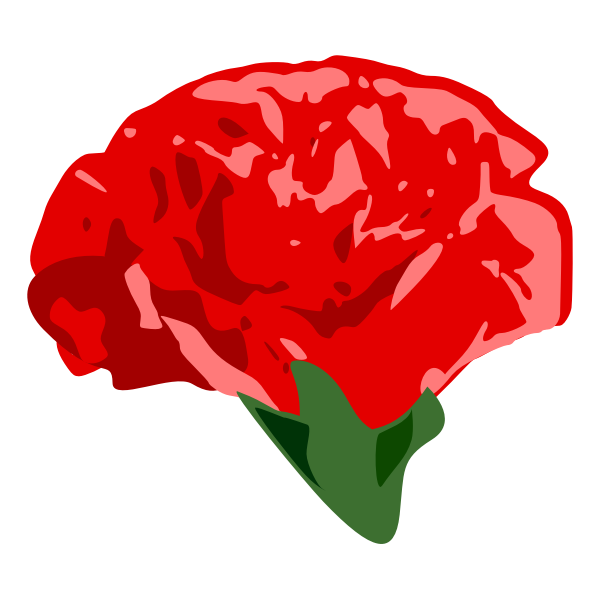 SVG Carnation