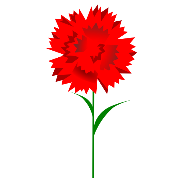 SVG Carnation
