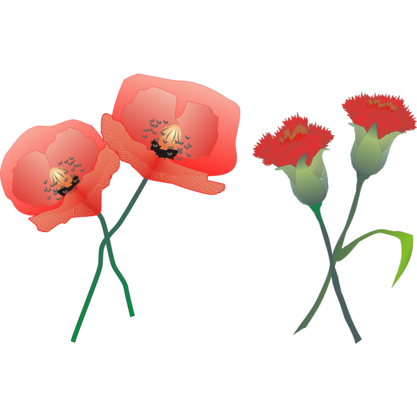 SVG Carnations