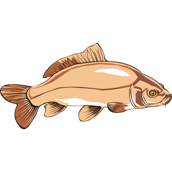 SVG Carp 2