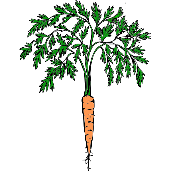 SVG Carrot