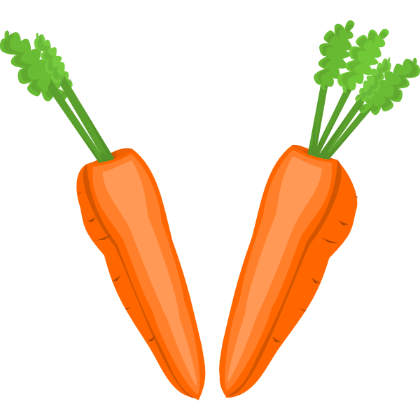 SVG Carrot halves