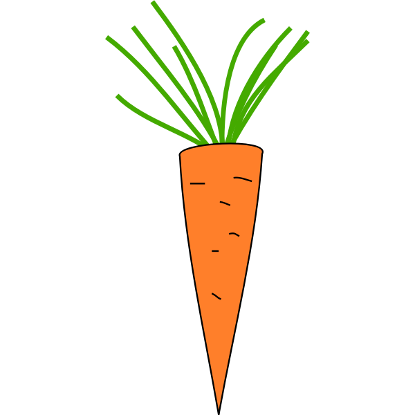 SVG Carrot icon