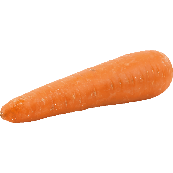 SVG Carrot symbol