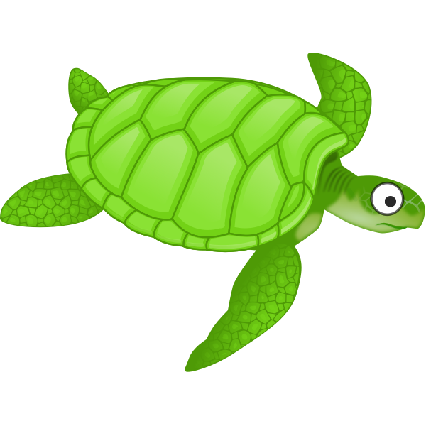 SVG Cartoon turtle