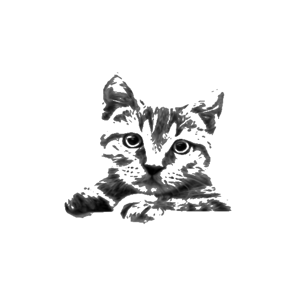 SVG Cat Drawing