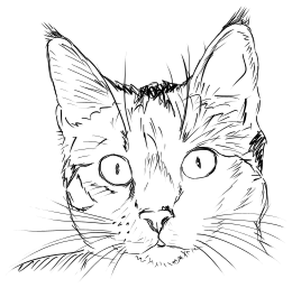 SVG Cat face