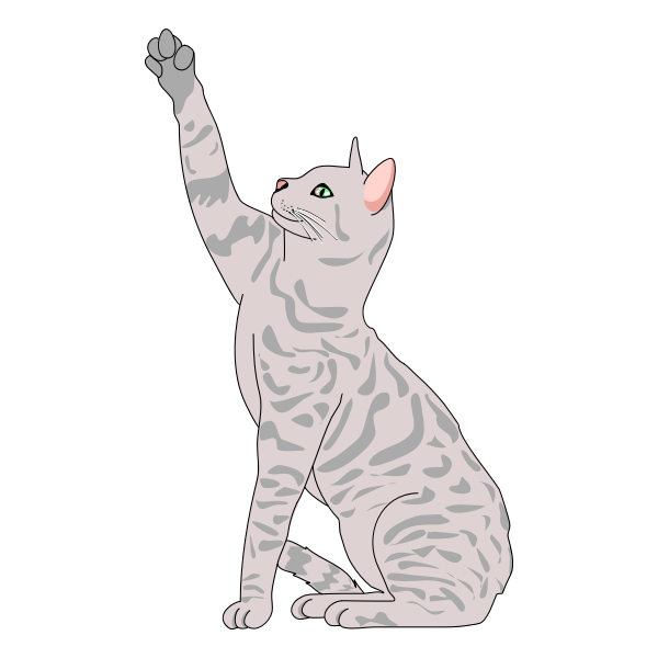 SVG Cat vector illustration