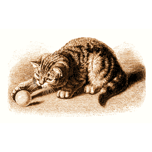 SVG Cat with Ball